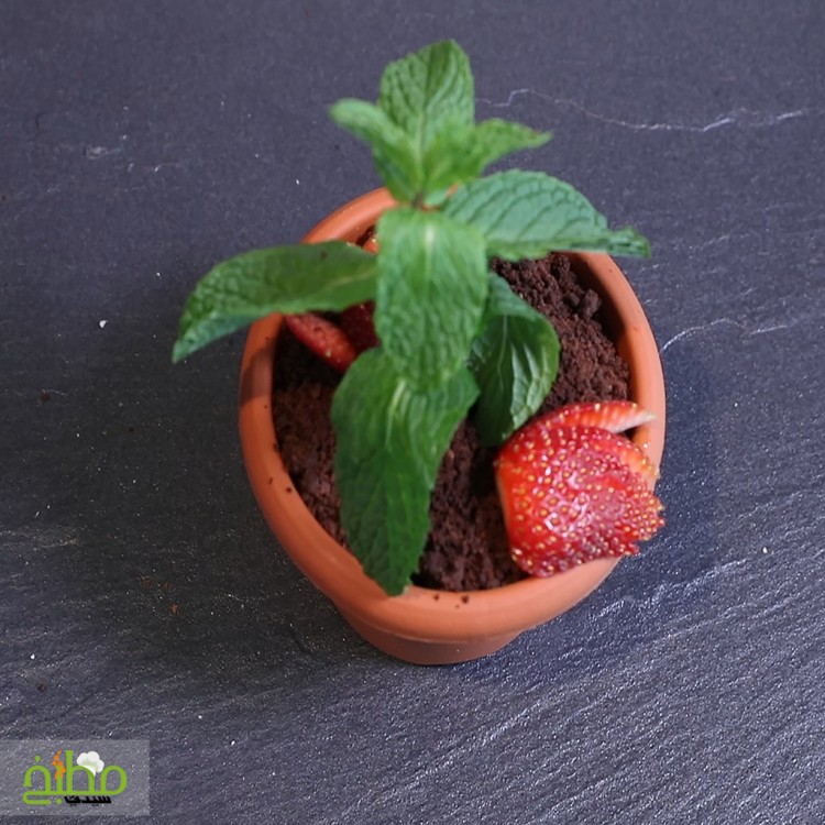 حلى موس الفراولة مع كيك الشوكولاتة خطوة بخطوة بالصور