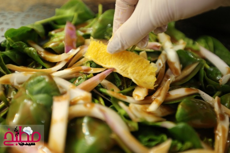 0de87d5ee6570f5275c28250c9c7a922_w750_h500