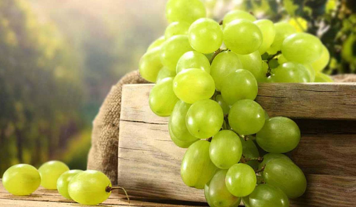 فوائد العنب الاخضر