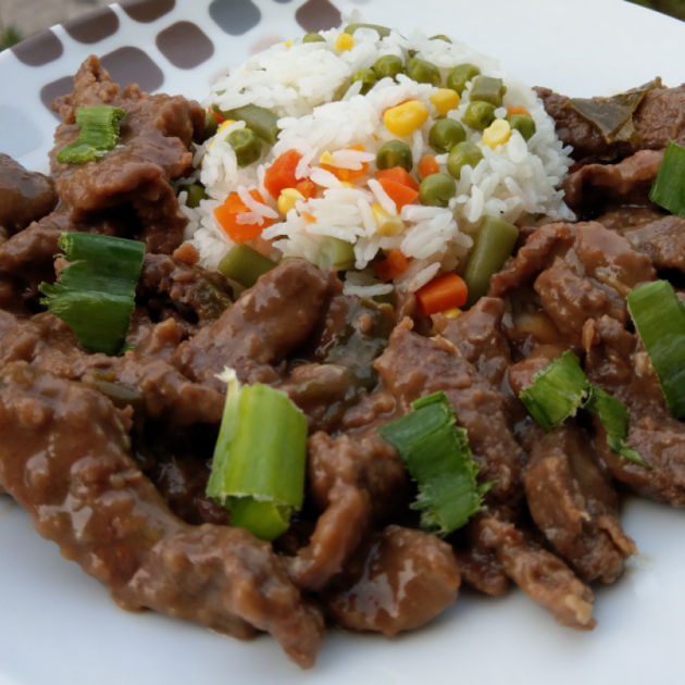 3334ef668bcd7f662095b5a7364b975c_w750_h750 اللحم بالصويا