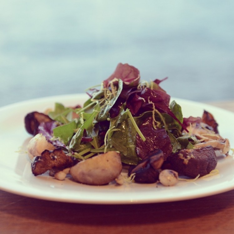 495238961d24578ee9c0fecddaa6ebff_w750_h750