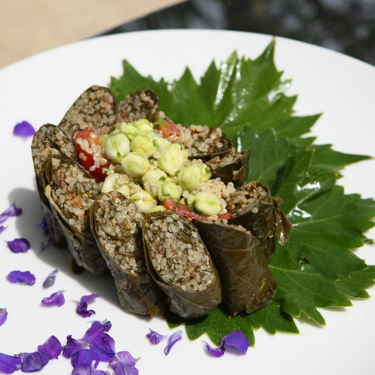 6e1e0f0235fab27006908735c40abceb_w750_h750