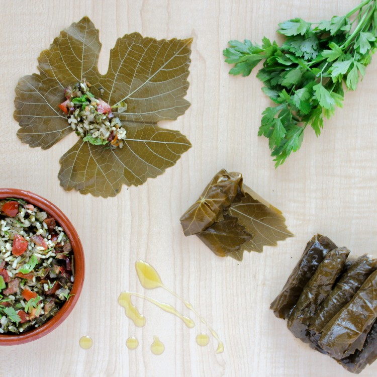 754c379409b24898eb51389ec6739d4f_w750_h750