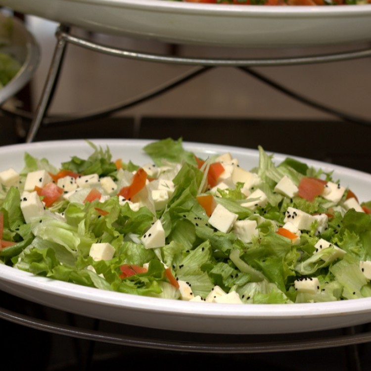 82bc7a659d2926dae81cbd2293dc9adb_w750_h750 سلطة عربية مع جبنة الحلوم