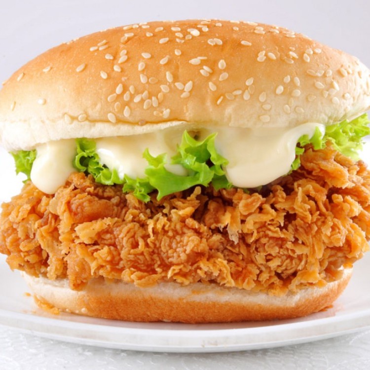 8341e219ec14bc3ad6c4c6bf989c262b_w750_h750 ساندويشات الزنجر