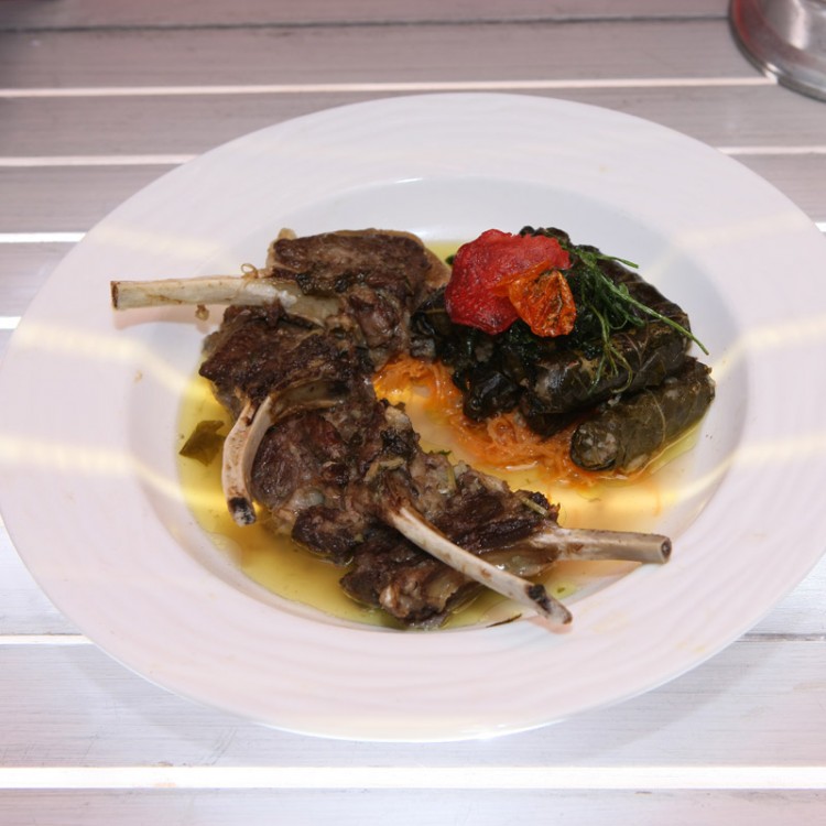 8db0810e7bcd6259fda6aa8503de16a6_w750_h750