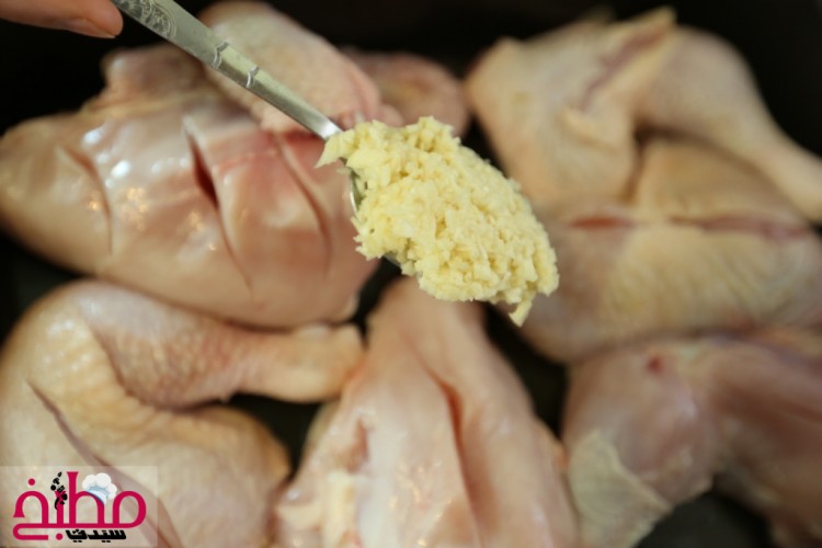 97d39734d423c1209cce60a850ce440e_w750_h500