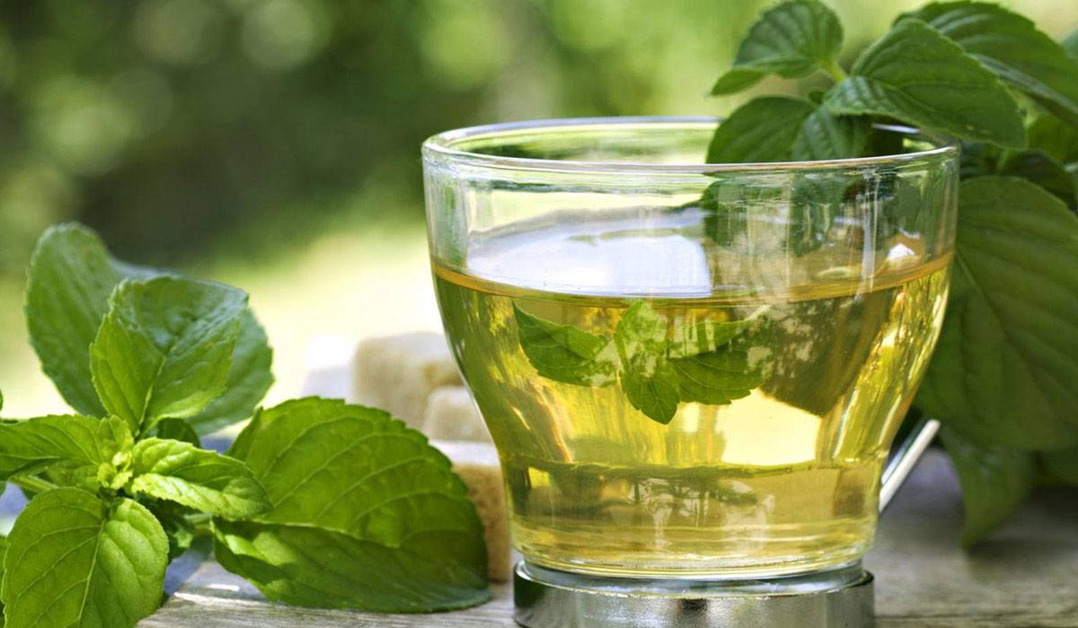 فوائد النعناع للتخسيس