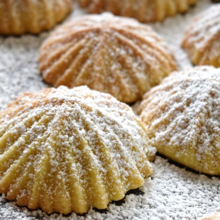 b43fbd9f2b2871c2dd0e04e49e4b412a_w750_h750 معمول الجوز