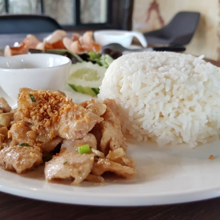 b5da4168ba3fb57cce348493dbecc976_w750_h750 دجاج بالثوم للوقاية من سرطان الثدي