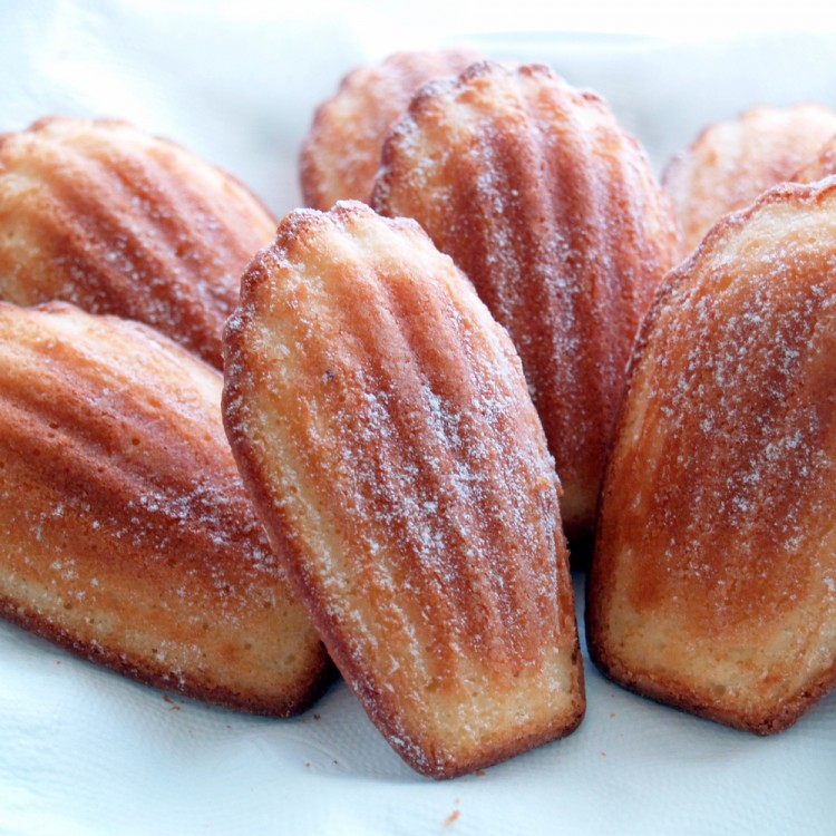 bb405d9af709c47632a63e1b3cda565b_w750_h750 مادلين كيك