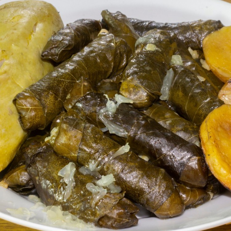 ورق عنب وكوسا بالزيت