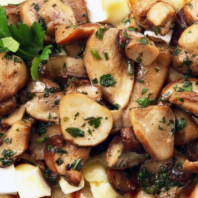 befa482611d5b795ef9f29e9f687aec9_w750_h750 فطر محمر بالكزبرة