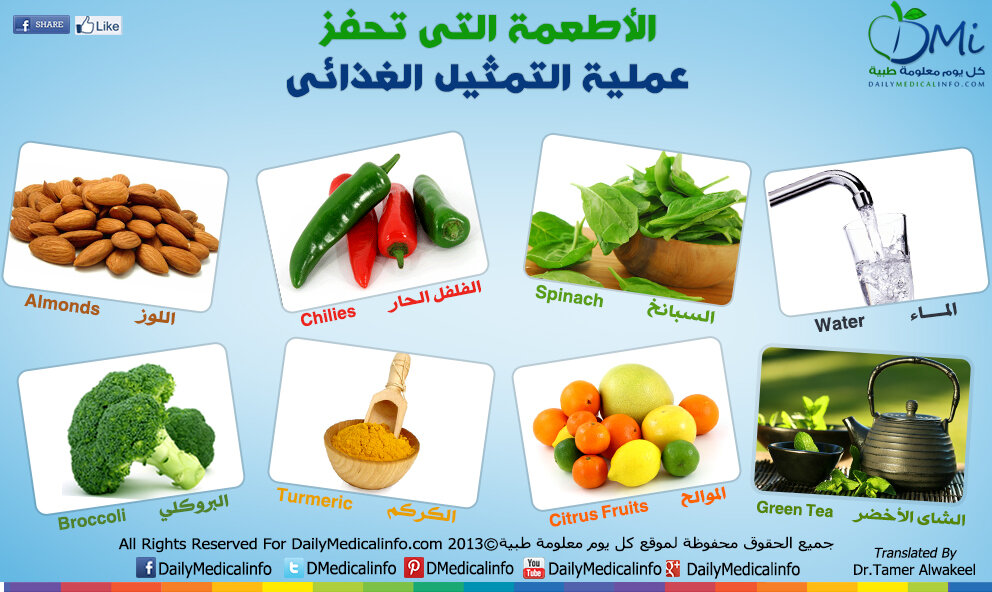 عملية التمثيل الغذائي