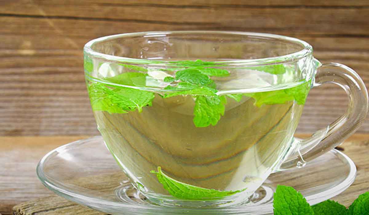 النعناع