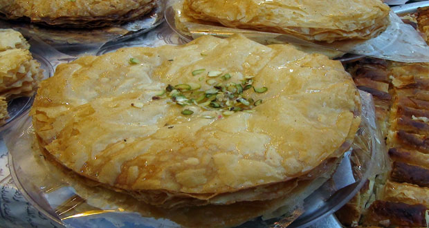 d8a7d984d986d987d8b4-d8a7d984d8b3d988d8b1d98a النهش السوري