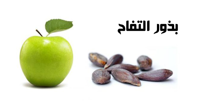 بذور التفاح