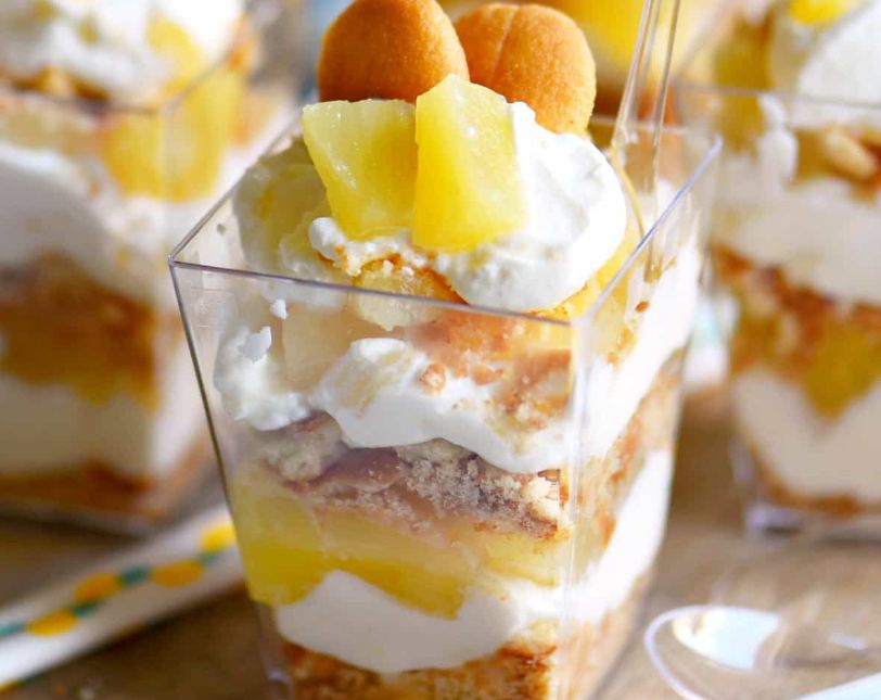 d8add984d989-d8a7d984d8a3d986d8a7d986d8a7d8b3-d8a7d984d8a8d8a7d8b1d8af-d985d8b9-d8a7d984d8a8d8b3d983d988d98ad8aa-e28093-d8aad8b1d8a7d981d984-d8a7d984d8a3d986d8a7d986d8a7d8b3 حلى الأناناس البارد مع البسكويت – ترافل الأناناس