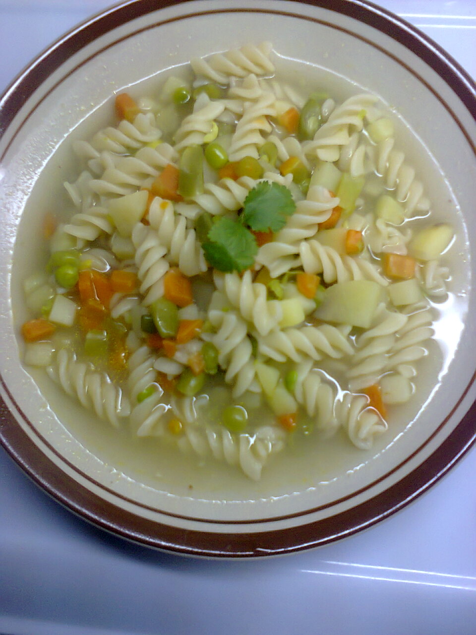 d8b4d988d8b1d8a8d8a9-d8aed8b6d8a7d8b1-d985d8b9-d8a7d984d985d8b9d983d8b1d988d986d8a9 طريقة عمل شوربة الخضار بالصور