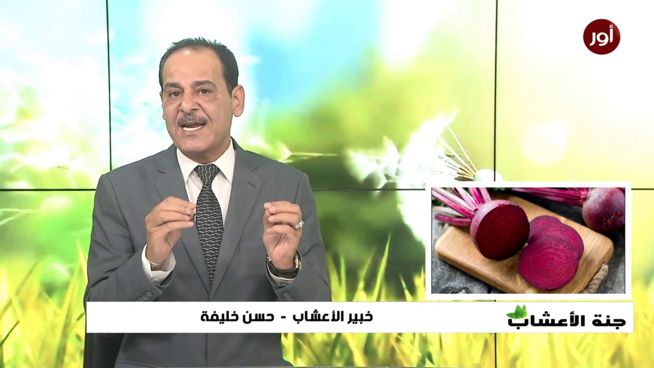 فوائد البنجر أو الشمندر أو الشوندر