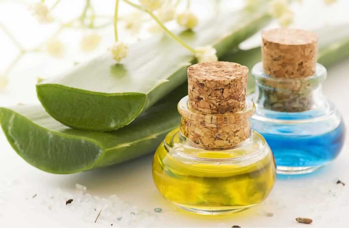 فوائد الصبار