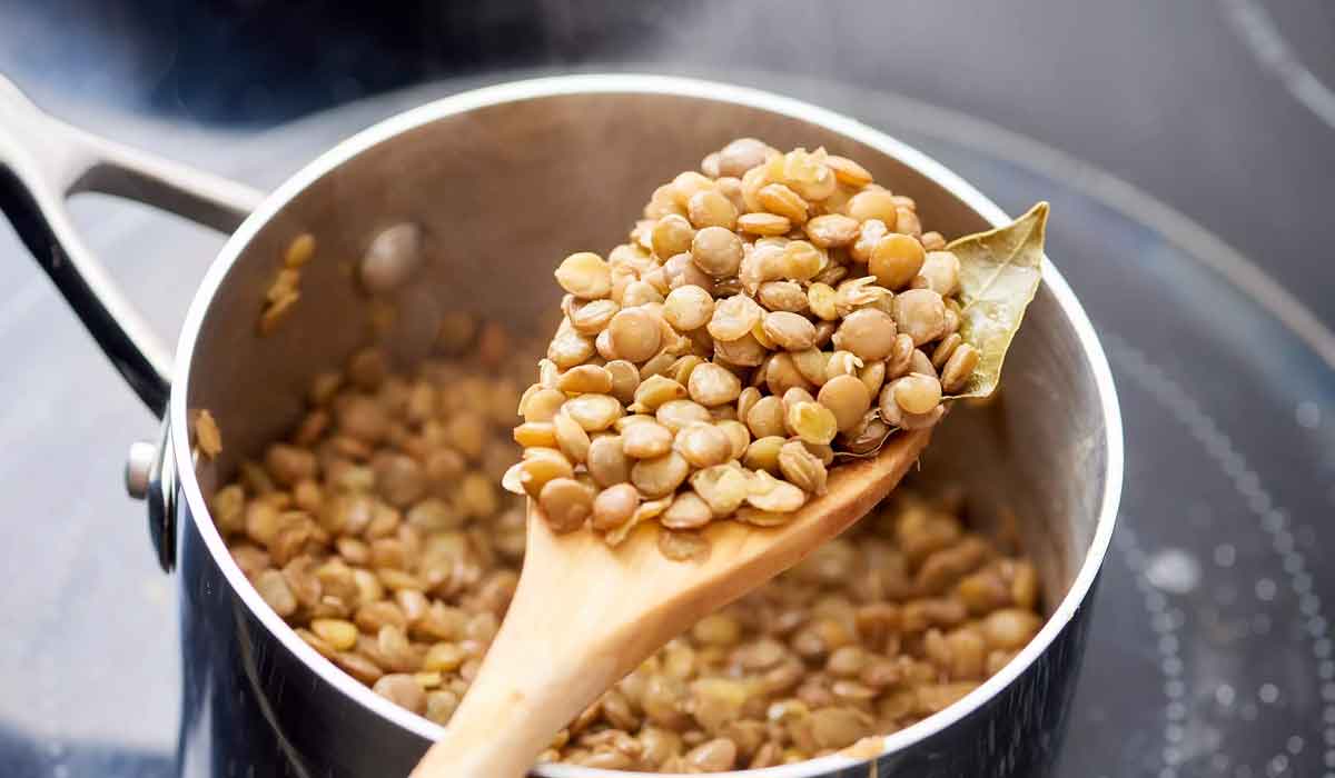 فوائد العدس
