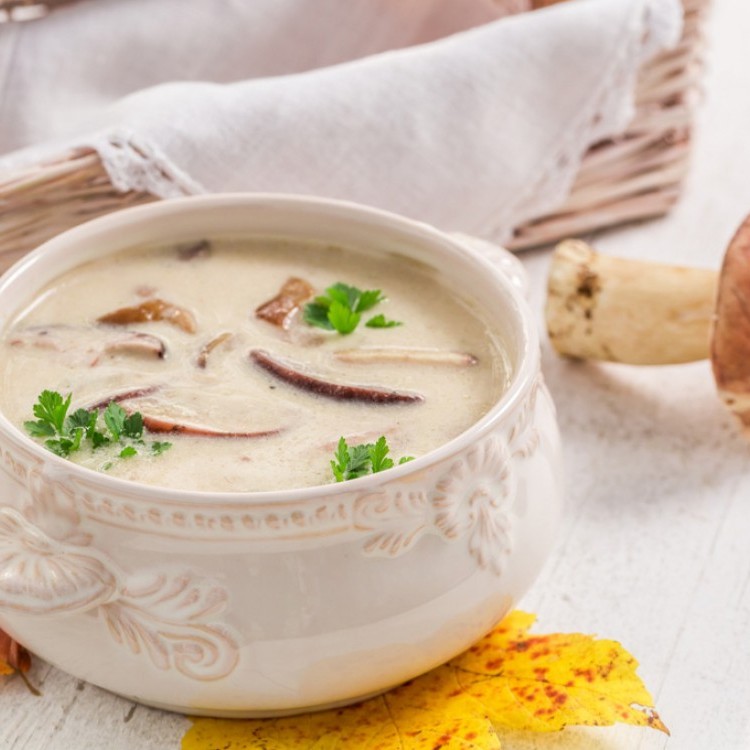 شوربة الفطر الكريمية