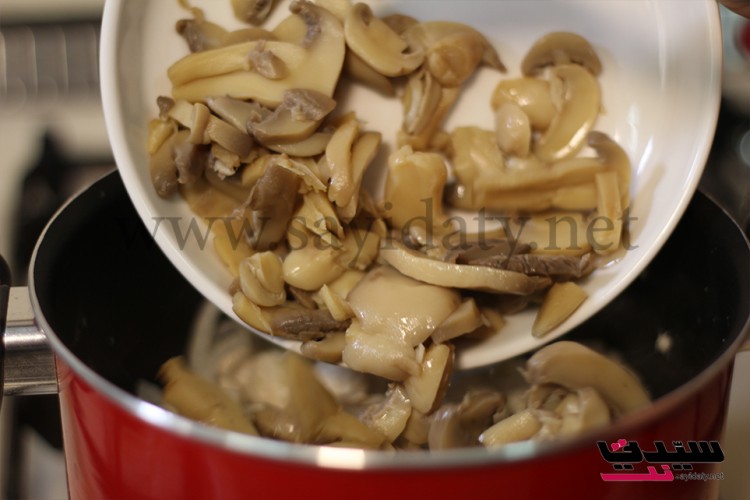 ee2c6d2ee75e13c92d33c061f054b29a_w750_h500