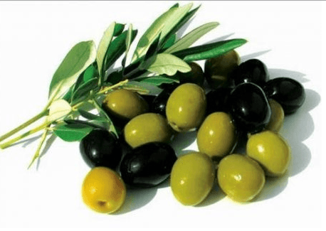 d8a7d984d8add8a7d985d8b6-d8a7d984d985d988d8a7d8b5d981d8a7d8aa-d985d8aad988d8b3d8b7d8a9d88c-d988d8aad985d98ad984-d8a5d984d989-d8a7d984d8a7d8b3d8aad8b7d8a7d984d8a9-d988d985d986d8aad981d8aed8a9-d985d986 الحامض - المواصفات - متوسطة، وتميل إلى الاستطالة ومنتفخة من أسفل