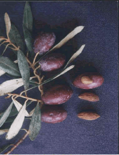 d8a7d984d8aed8b6d98ad8b1d98a-d8a7d984d985d988d8a7d8b5d981d8a7d8aa-d8b3d988d8afd8a7d8a1-d985d8aad988d8b3d8b7d8a9-d985d8aad8b7d8a7d988d984d8a9 الخضيري - المواصفات - سوداء - متوسطة - متطاولة