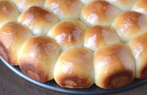 خلية النحل بالجبنة
