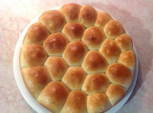 خلية النحل بالجبنة