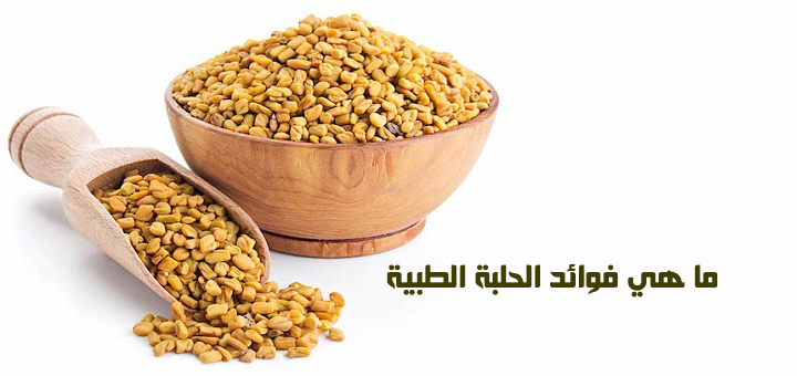 ما هي فوائد الحلبة الطبية