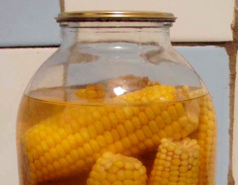 أوعية حفظ الذرة